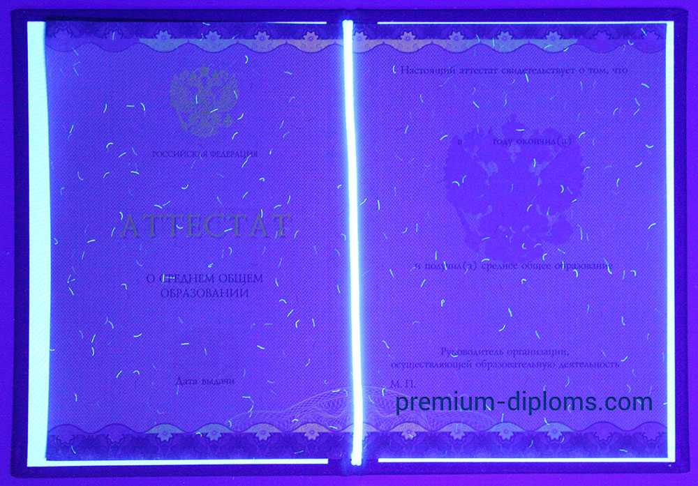 Аттестат 11 классов 2014-2025 год фото Аттестат 11 классов 2014-2025 год фото